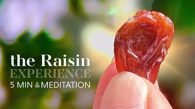 Hand holding a raisin against blurred green background. Text reads "the Raisin Experience, 5 Min Meditation." Calm and introspective mood.