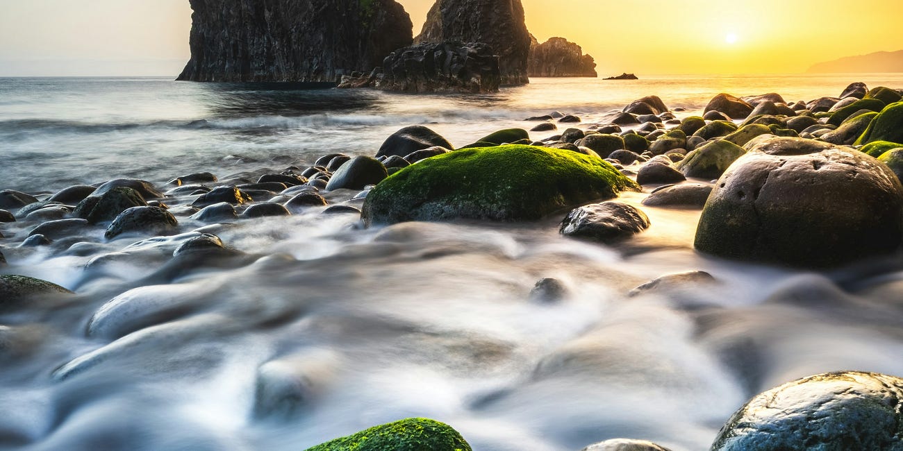 Abstain From the Desires of the Flesh