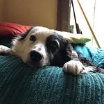 Cold Antler Farm | Jenna Woginrich | Substack