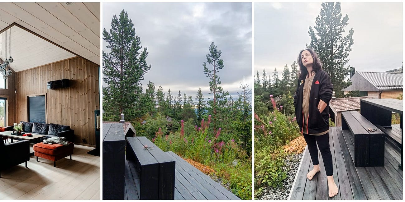 The Cabin Diaries - Day 1: My Sabbatical Has Changed