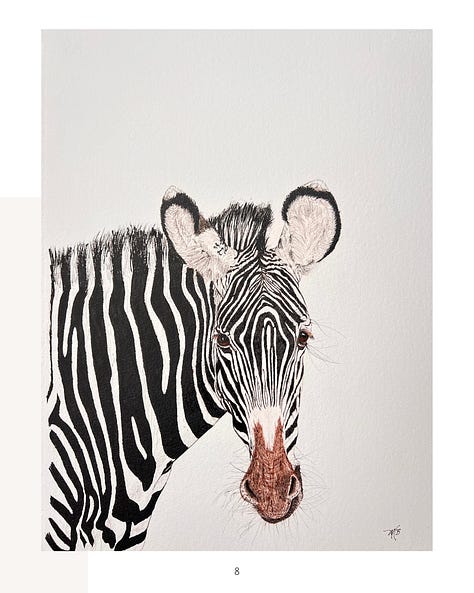 wildlife portraits, ink on paper