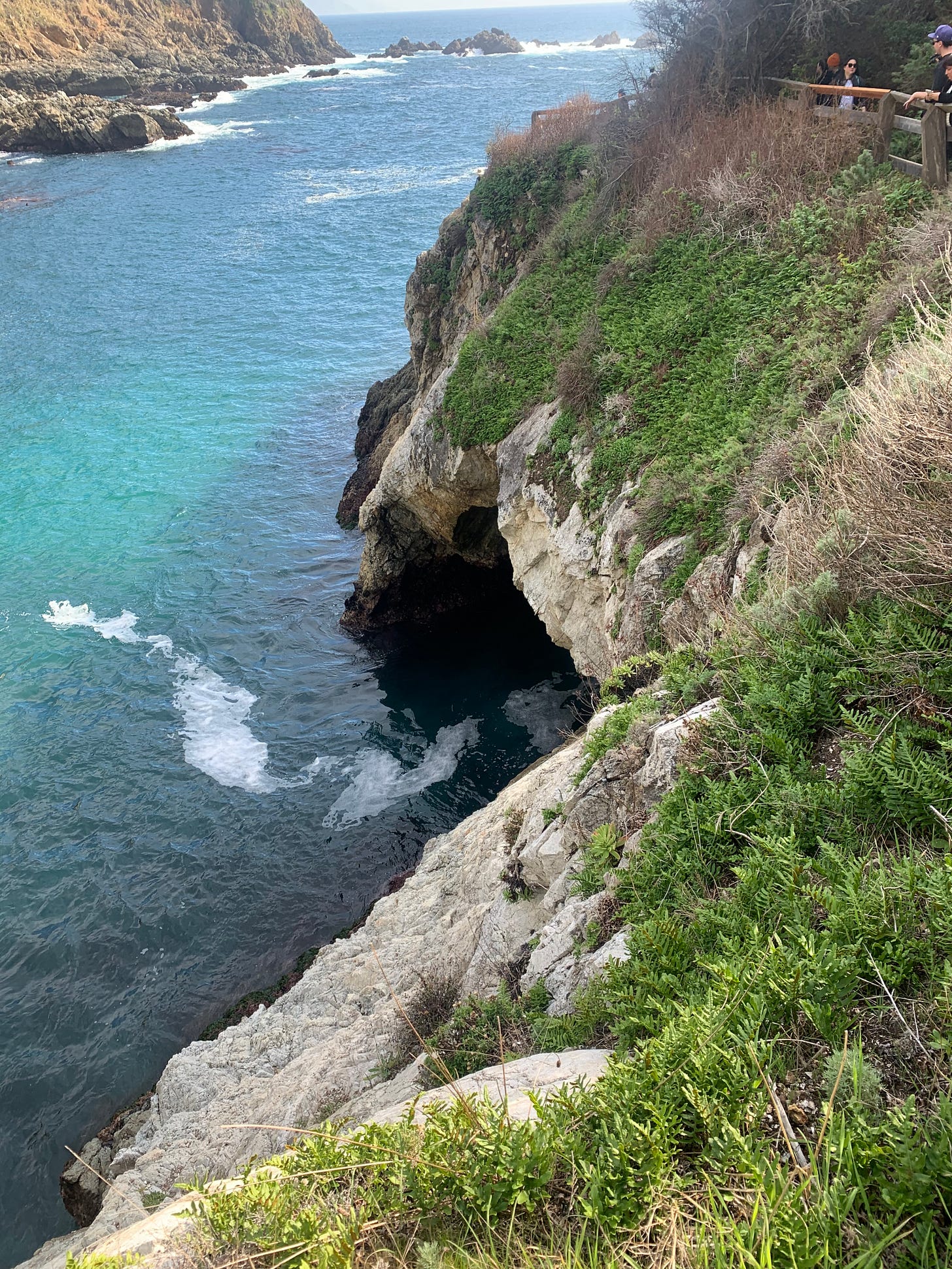 Cliffside views of the Pacific Ocean in Big Sur, California