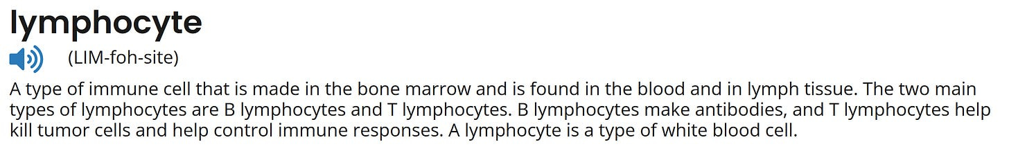 An image from the cancer.gov website that says lymphocyte. A type of immune cell that is made in the bone marrow and is found in the blood and in lymph tissue. The two main types of lymphocytes are B lymphocytes and T lymphocytes. B lymphocytes make antibodies, and T lymphocytes help kill tumor cells and help control immune responses. A lymphocyte is a type of white blood cell.