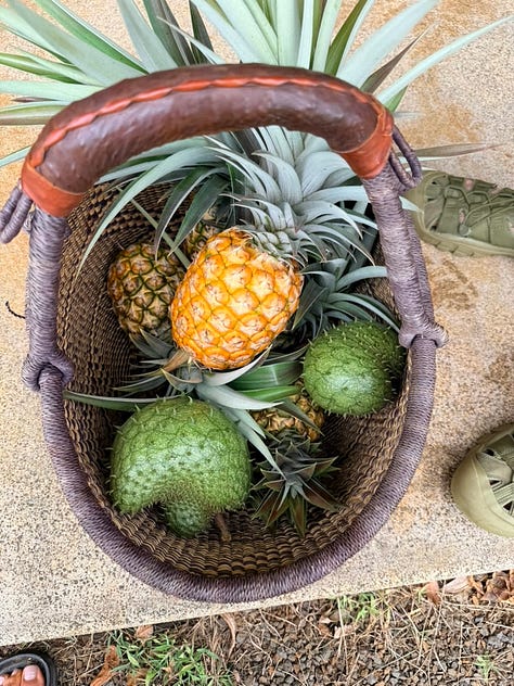 fruit from kauai
