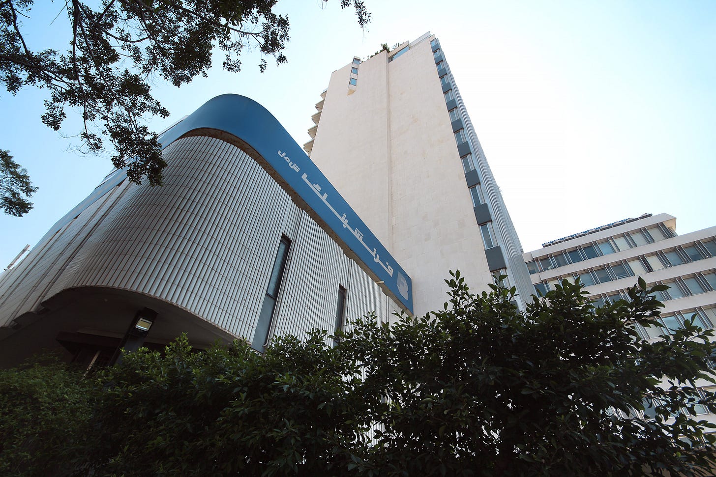 IMG_8621.jpeg IMG_8621.jpeg