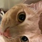 Matt G.'s avatar