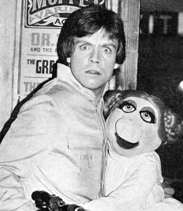 Pin by Joyce A Ellison on Kermit the Frog | Star wars humor, Mark ...