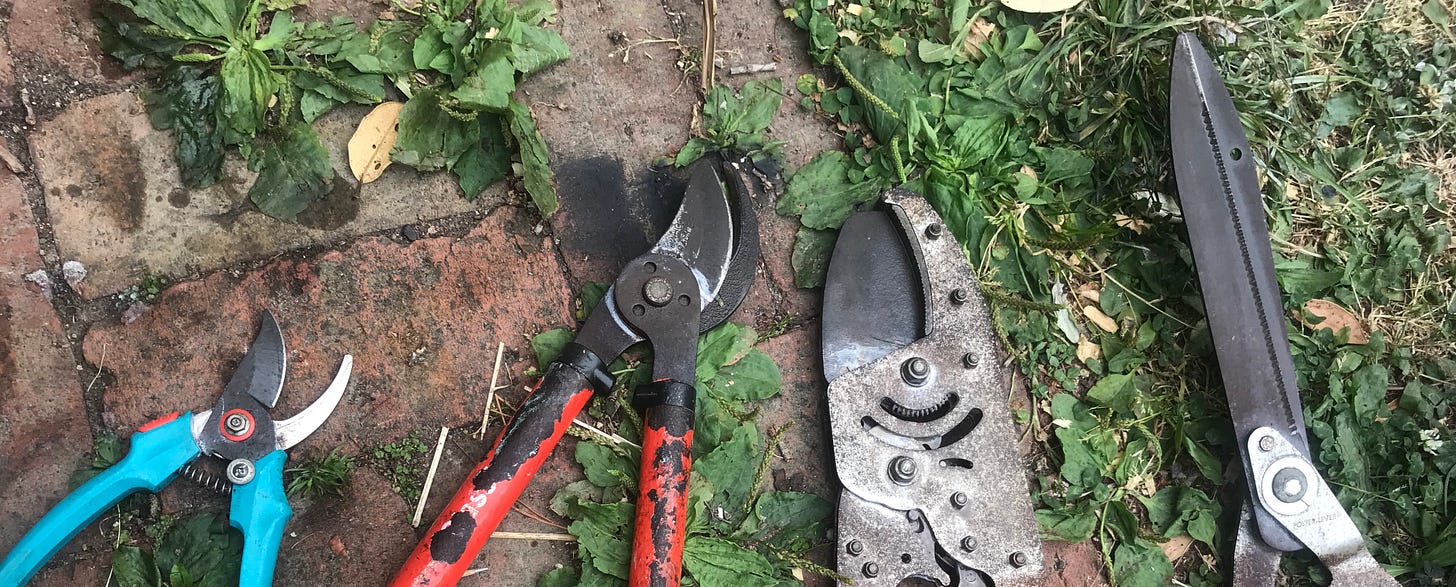 garden tool sharpen sharpening tools service wellington