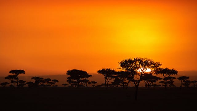 A sunrise in the Serengeti. A sunrise in the Serengeti.