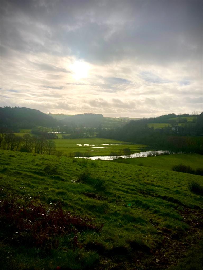 countryside scene with a river and woodland