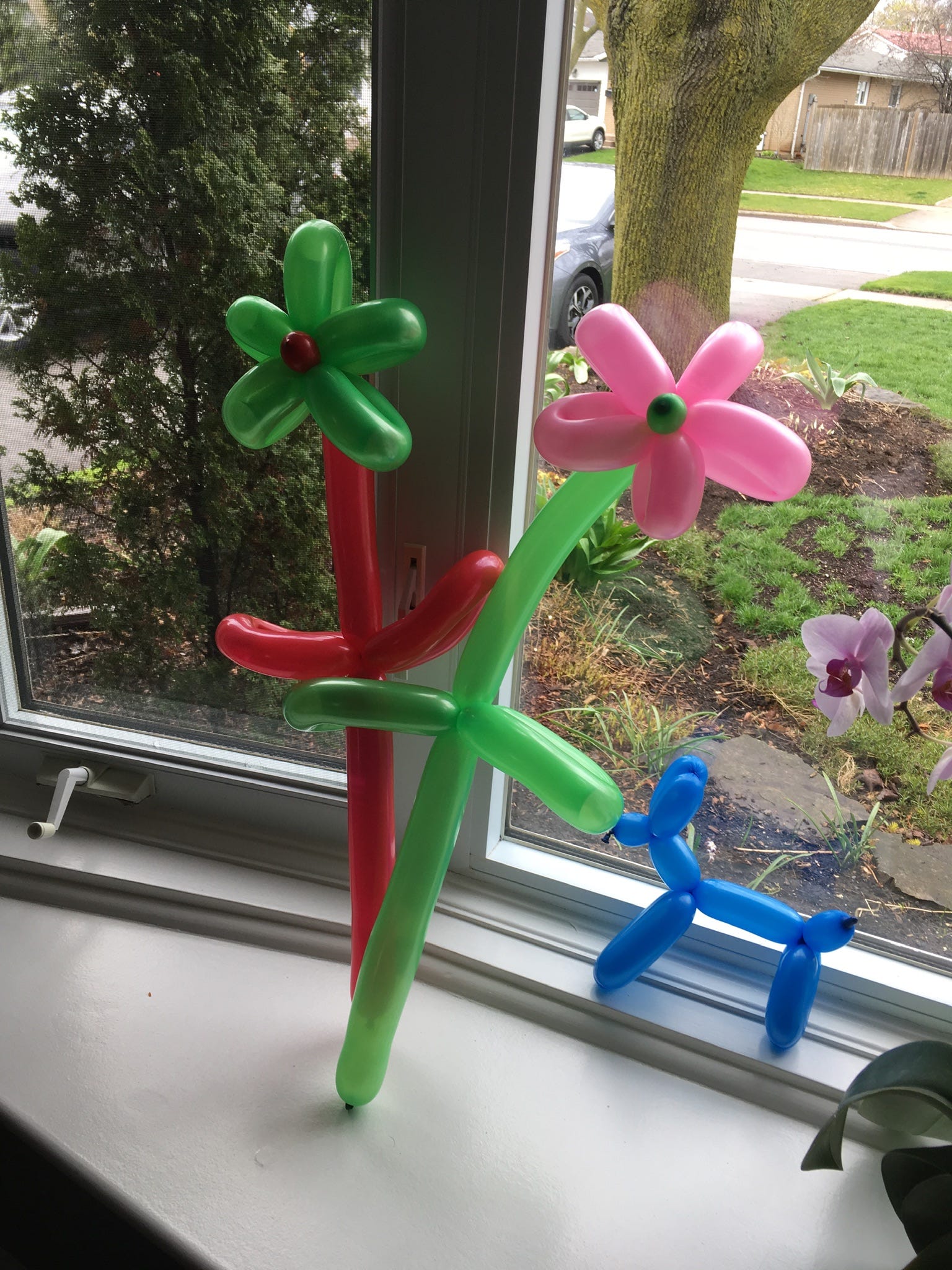 All That and A Bag of Chips