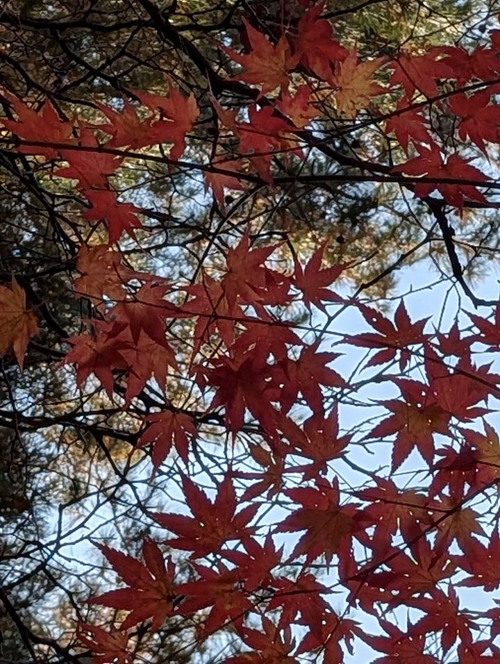 Pictures from hiking up Bukhansan in Bukhansan National Park