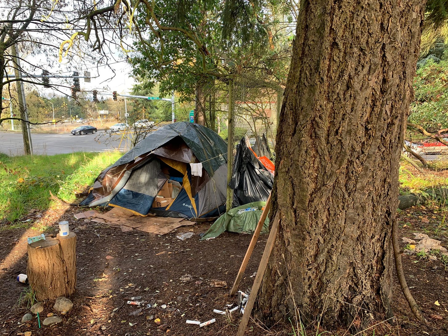 A homeless encampment on the trail of the Jackson Park golf course. The future light rail station will be located directly across the street. Photo by author. A homeless encampment on the trail of the Jackson Park golf course. The future light rail station will be located directly across the street. Photo by author.