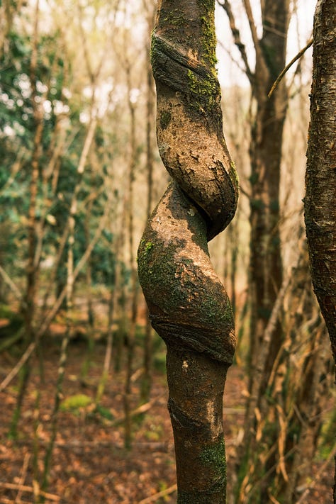 Ireland in Fuji photographs by Tyler Knott Gregson