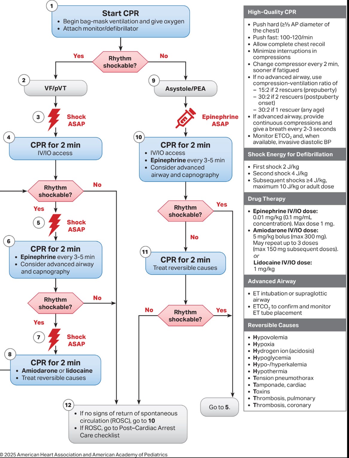 Cardiovascular Algorithm 2025 American Heart Association Guidelines for Advanced Pediatric ...