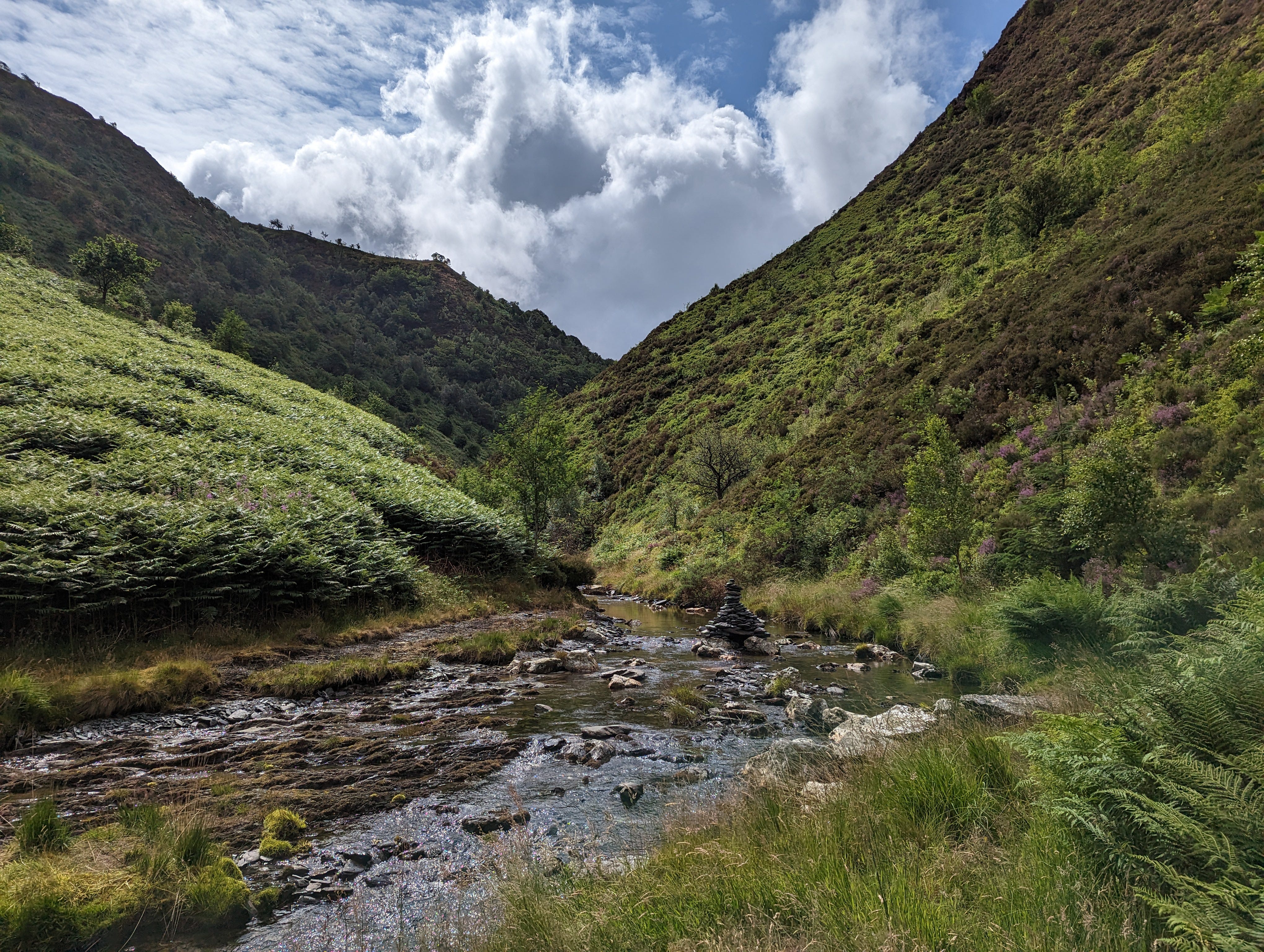 “Eco-awakening”, rewilding and finding intimacy with nature