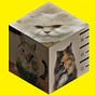 CatCube's avatar
