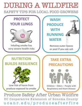Tips from CA agriculture extension about wildfires, wear a mask, wash produce 