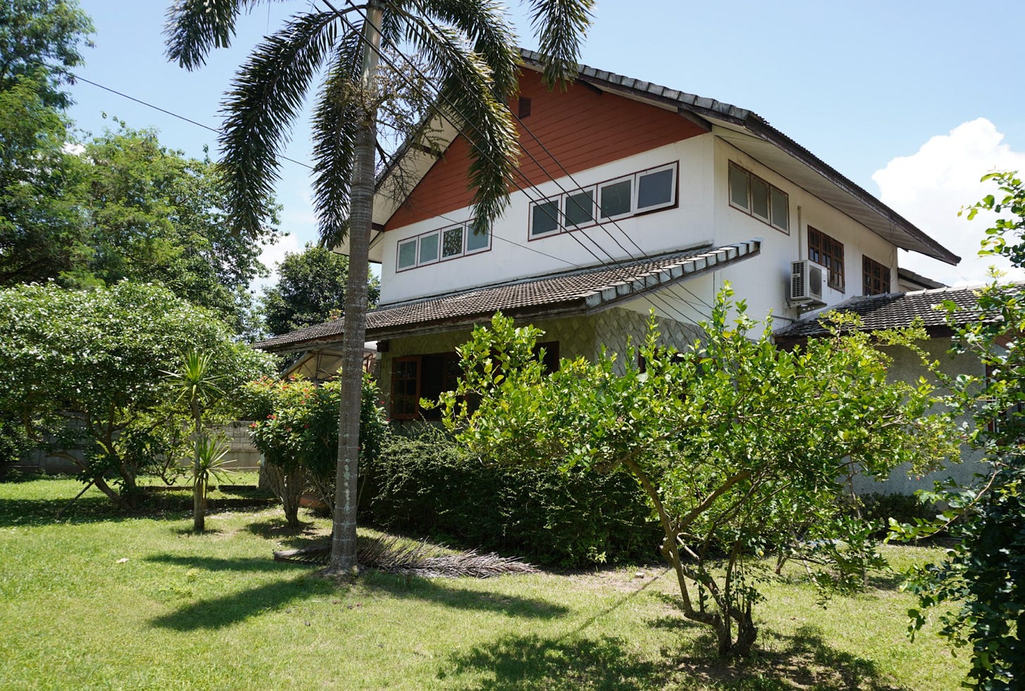 Side yard with fruit trees.