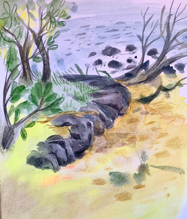 Mixed media illustrations using watercolour, pencils and chalk pastels