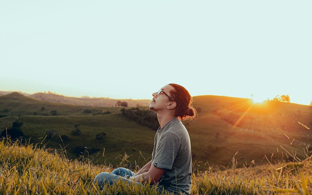 Finding Peace in the Midst of Chaos - by Joyce Day