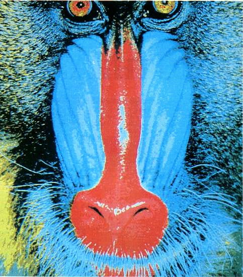 The Amiga: An In-Depth Review