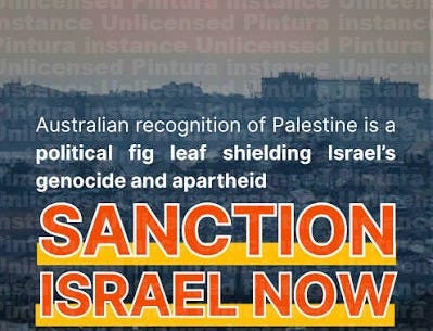 Australia Palestine Advocacy Network | Australia's recognition of Palestine  is being used as a political fig leaf, letting Israel's genocide and  apartheid continue unchallenged,... | Instagram