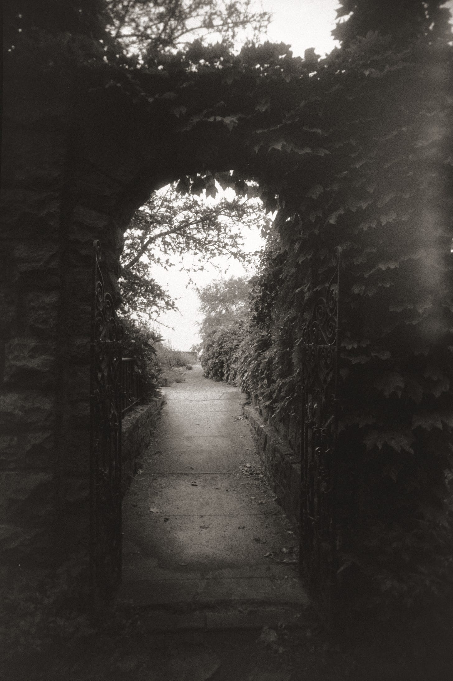A black and white photograph of a gate that opens onto a garden