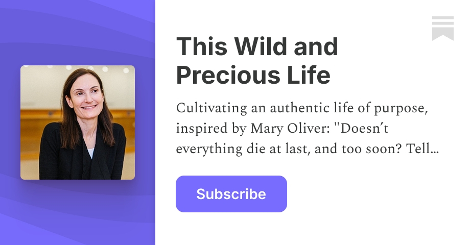 This Wild and Precious Life | Substack