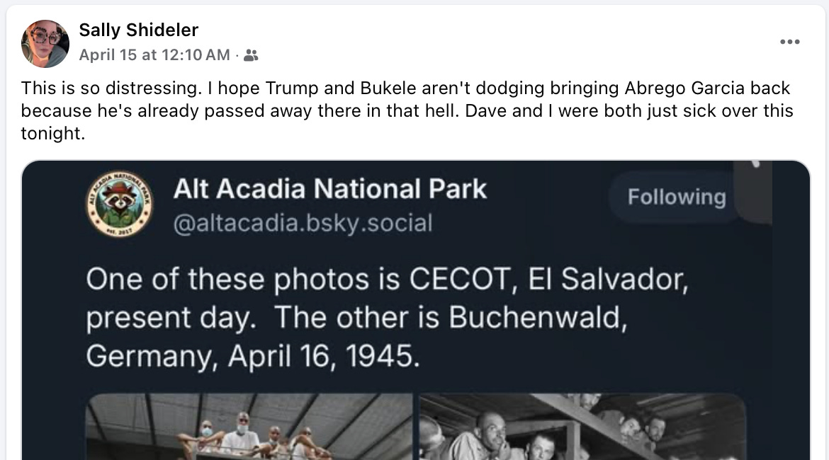 Trump Spent Millions To Send People To a Concentration Camp To Be Tortured