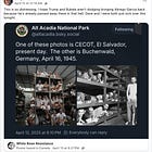 Trump Spent Millions To Send People To a Concentration Camp To Be Tortured