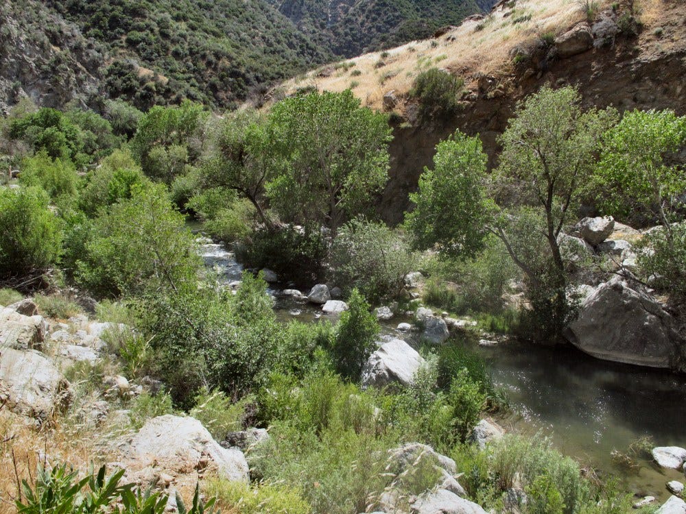 Piru Creek 5-14-09 (10)