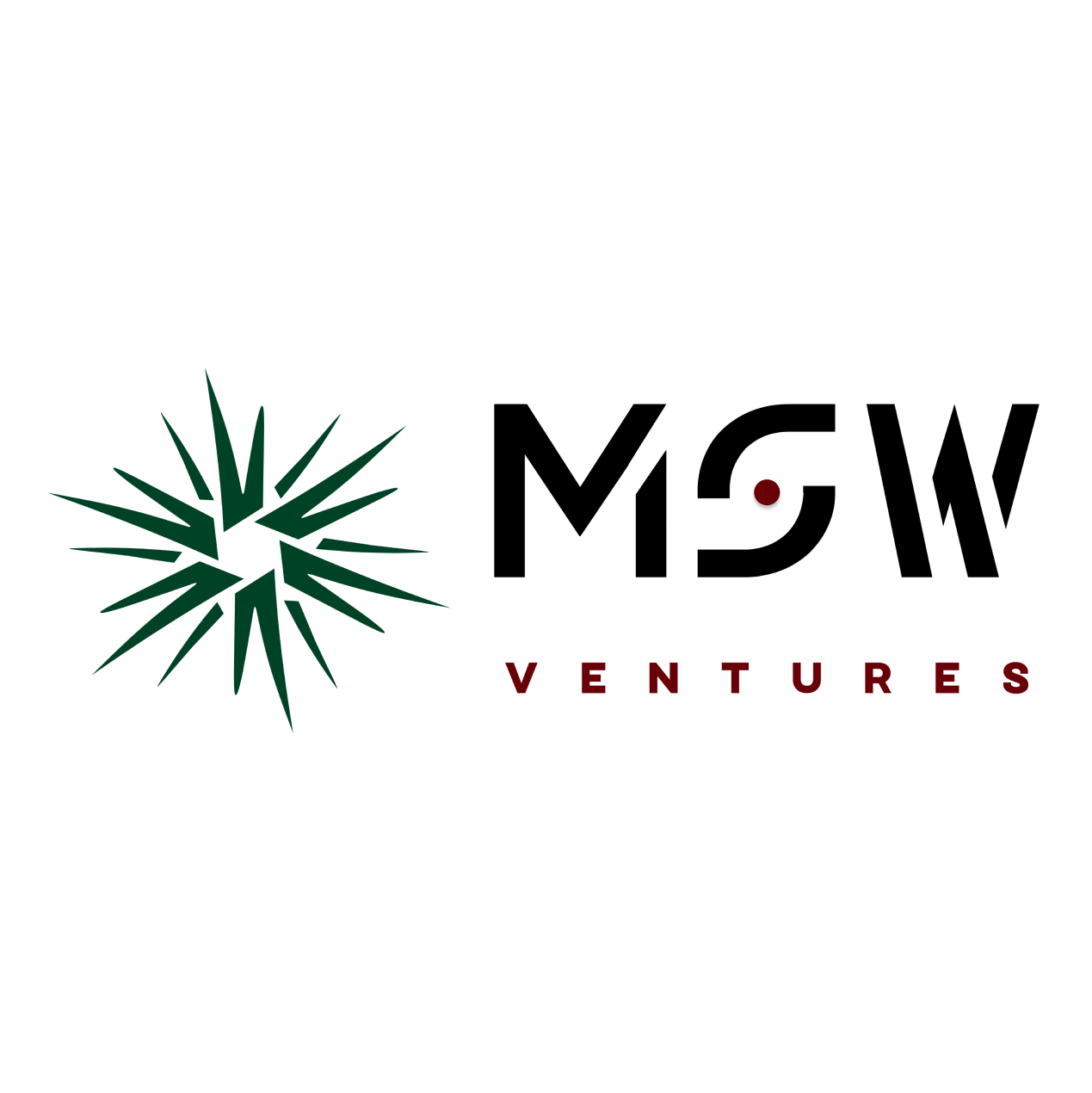 MSW Ventures