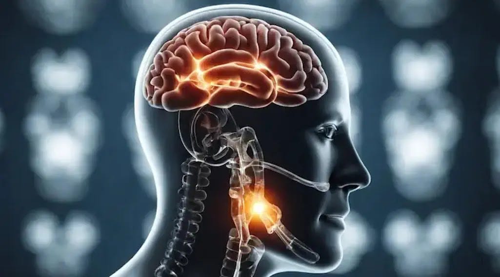 The artwork generated by artificial intelligence showcases a translucent skull that exposes the human brain, highlighting specific areas that are distinctly labeled to emphasize the brain signatures associated with Alzheimer's Disease.