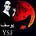 Yusuf Al Sanad's avatar