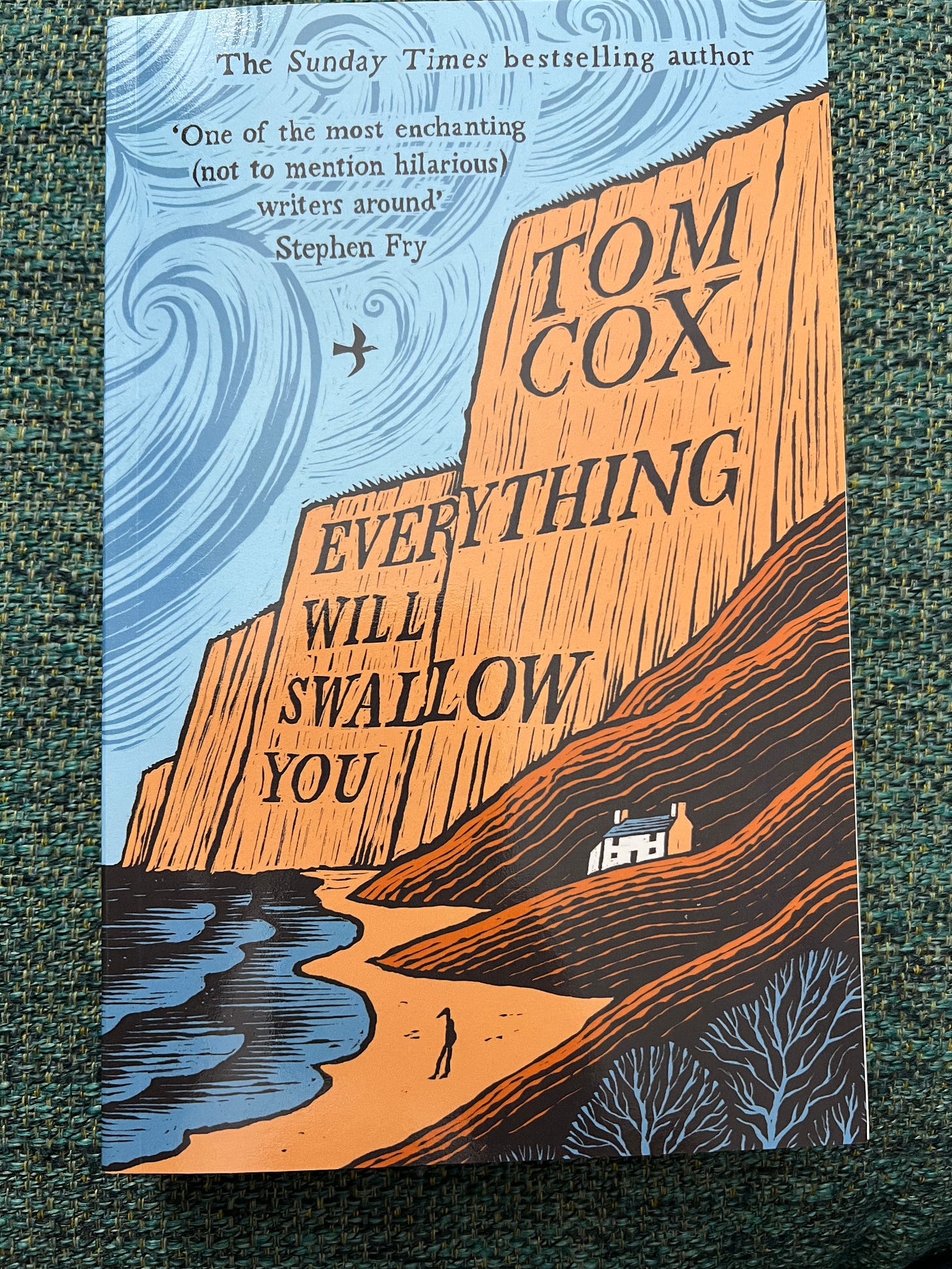 Book: Everything Will Swallow You by Tom Cox, shows headlands along a sea with a crow sailing overhead and a small house looking like it's about to be buried by a landslide