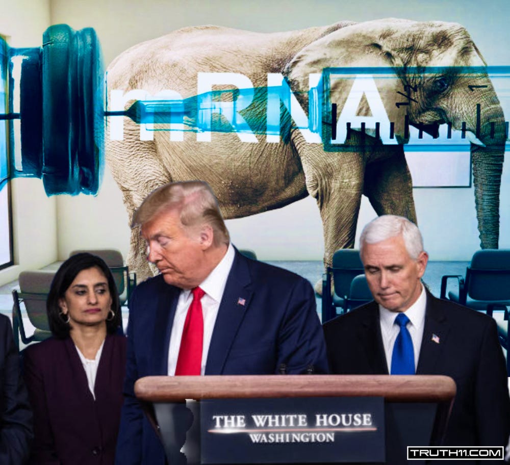 Trump to Strip Federal Funding From Schools That Mandate COVID Vaccines