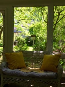 IMG_7681 IMG_7681