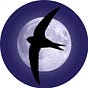 Midnight Murmurations's avatar