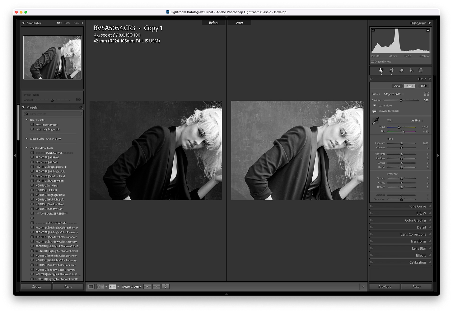 adobe black and white adaptive profile adobe black and white adaptive profile