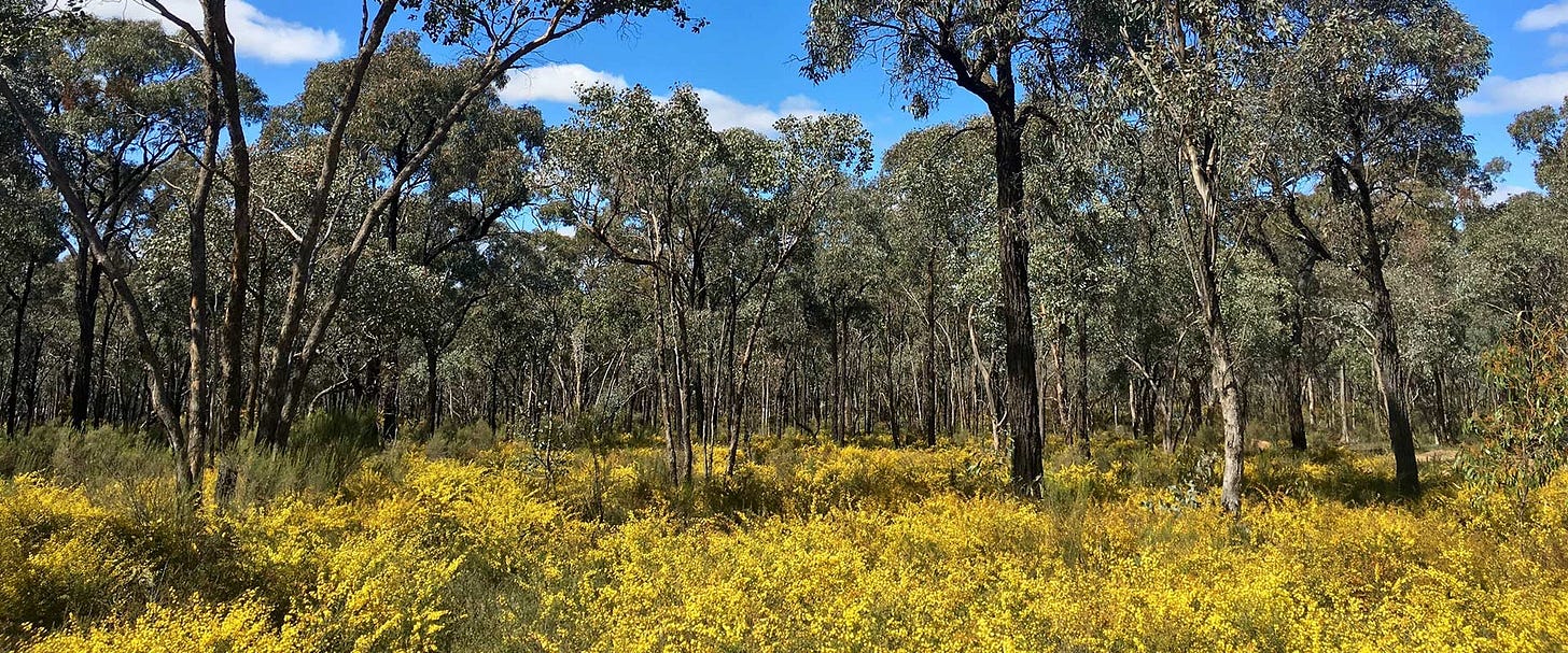 Greater Bendigo National Park