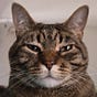 AndyTheWriterEtAl's avatar