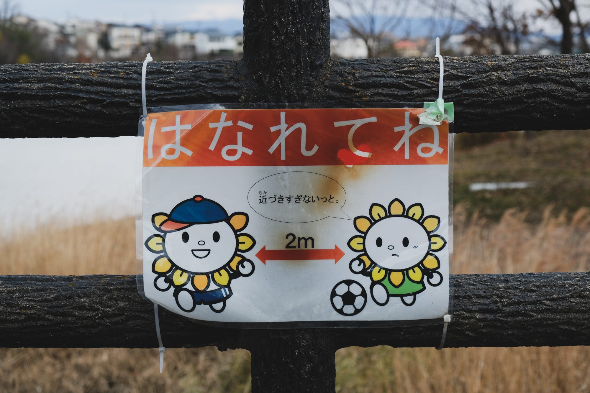 kikushin33様　　オーダー専用ページ Social Distance - by SHIMIZU Akira