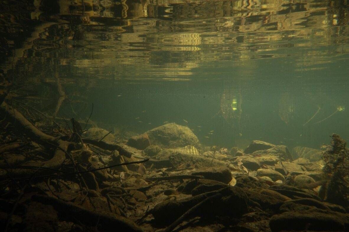 healthy creek healthy creek