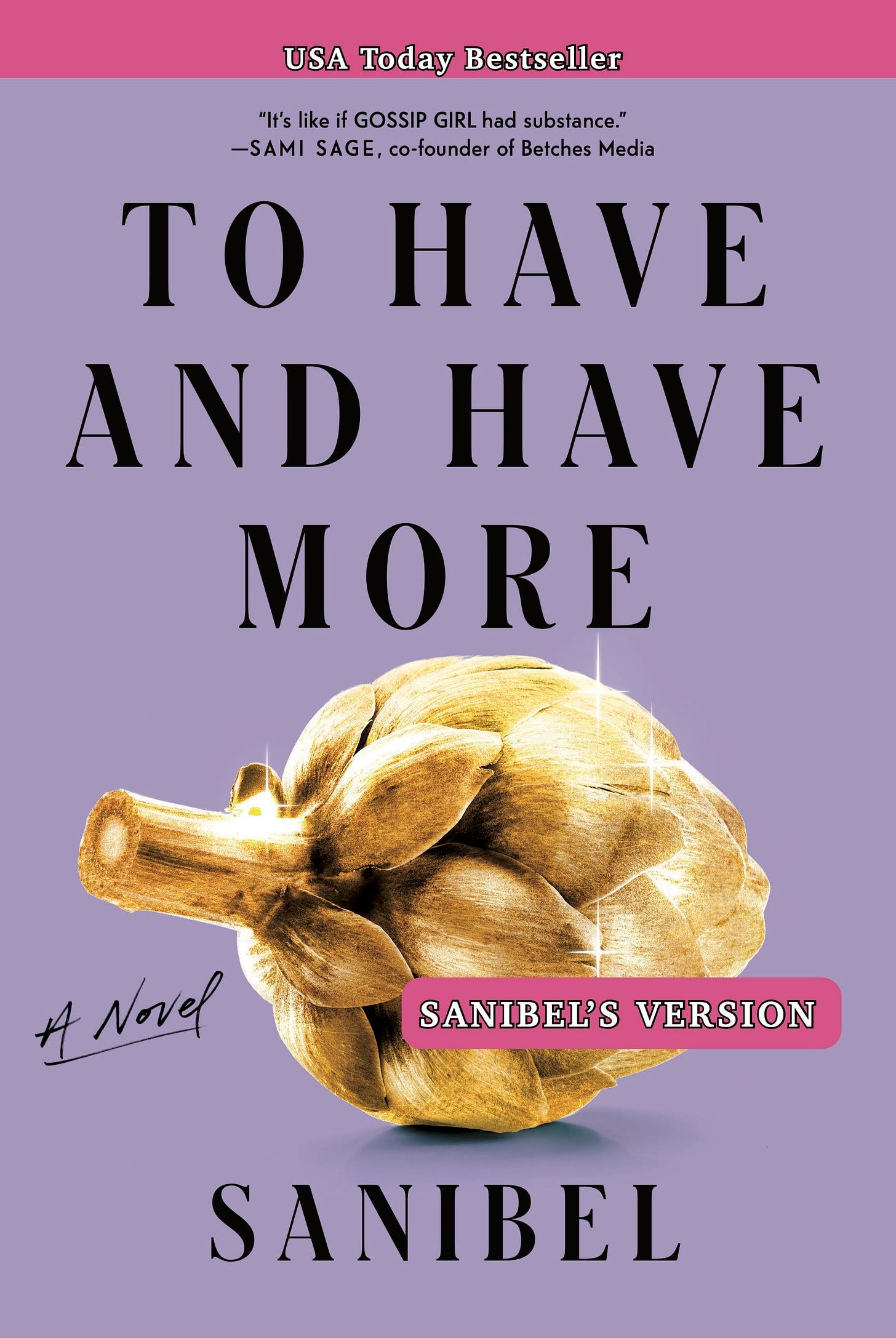 The cover for Sanibel’s novel, To Have and Have More (Sanibel’s Version)