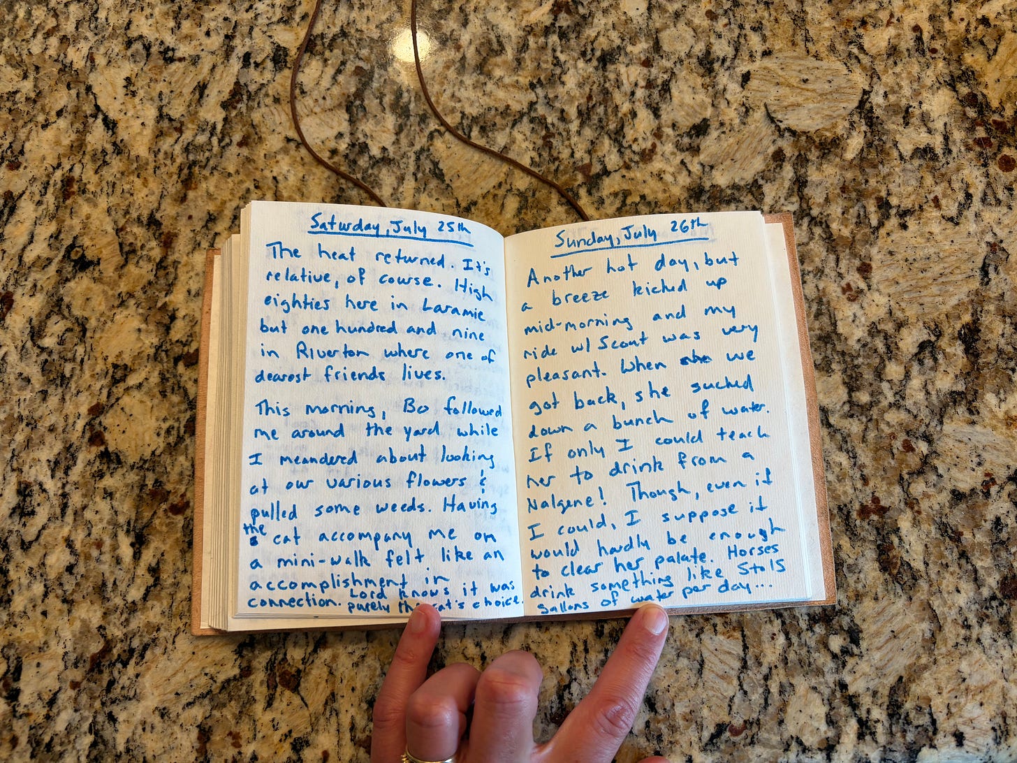 Alt text for journals: Image of handwritten journal (text transcript below)