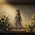 The Witch’s Cabinet: Three Plants, Three Molecules, One Question