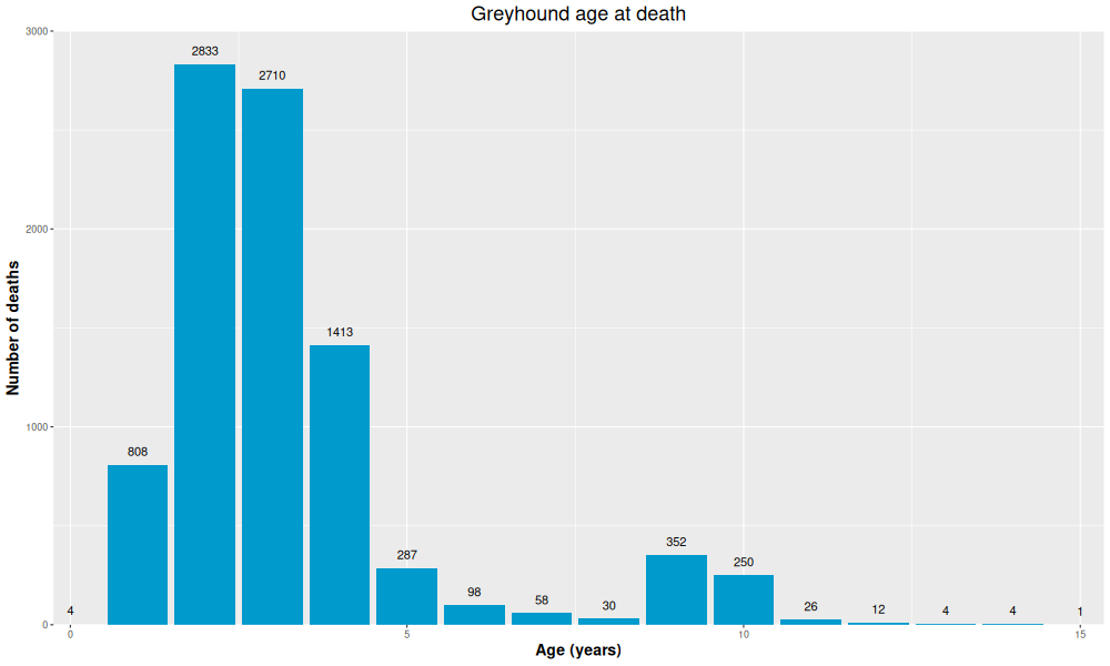 Bar graph showing greyhound age at death. There are two peaks, one centred at about 2.5 years of age and encompassing almost all of the dogs; the second smaller peak is at about 9 years. The user is left to speculate why this might be.