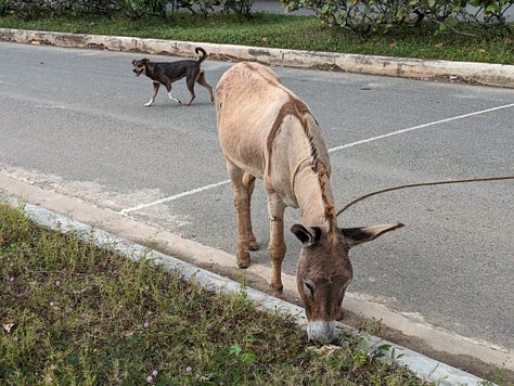 Le village de pêcheurs autour de 2020