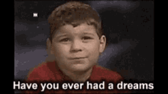 a young boy in a red shirt is saying have you ever had a dreams . a young boy in a red shirt is saying have you ever had a dreams .